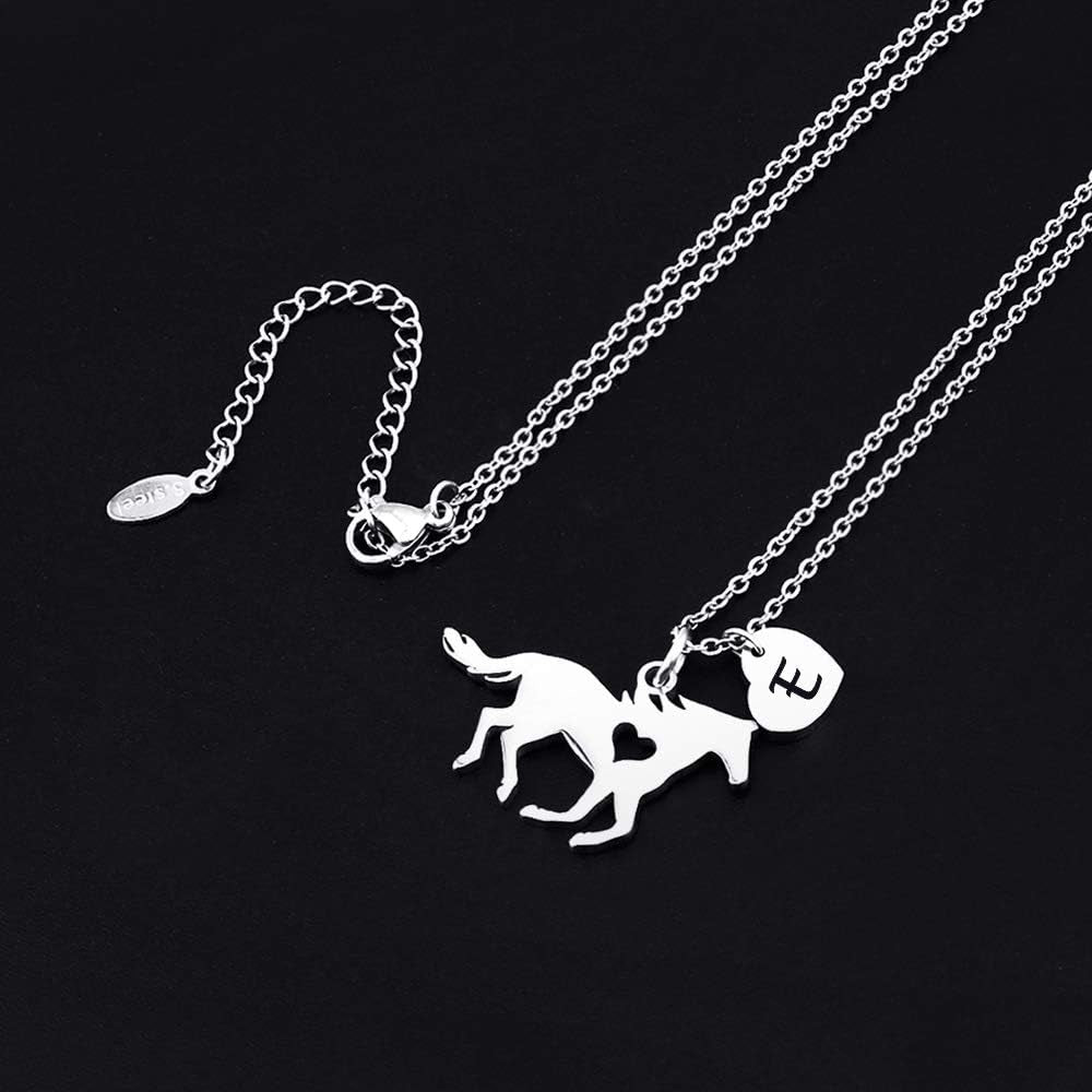Horse Necklace for Girls – Dainty Heart Pendant with 26 Initials | Personalized Jewelry for Women, Kids & Horse Lovers