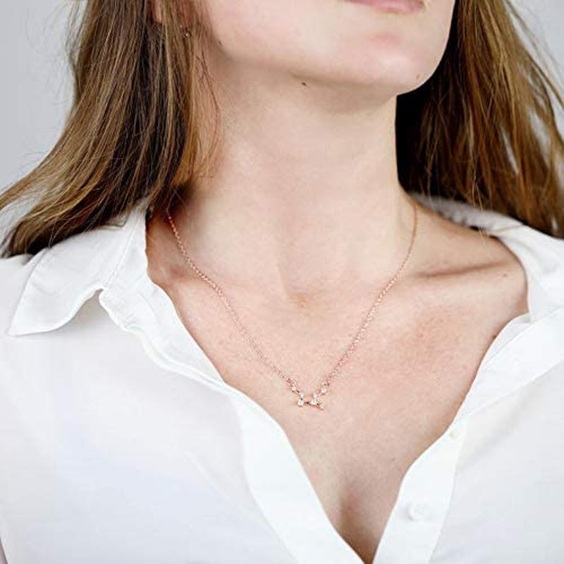 2PCS Zodiac Sign Necklace for Women